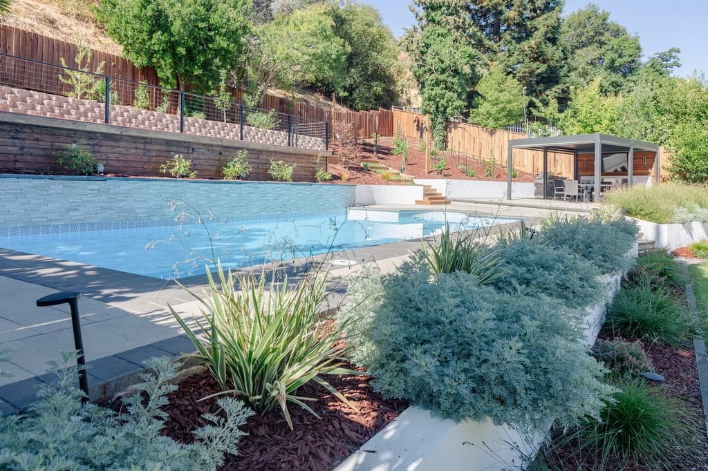 Drought tolerant landscape design with California native plants